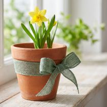 Product Jute ribbon, net ribbon, decorative ribbon, jute, green sage, 5cm wide, 40m long