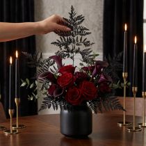 Product Fern Decoration Real Fern Fronds Black Preserved 45cm 10 pcs