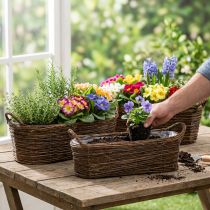 Product Plant basket with handles, oval brown 57/50/42cm, set of 3