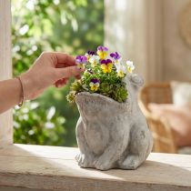 Product Frog decorative plant pot flower pot concrete grey H18.5cm