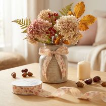Product Decorative ribbon Autumn Gift ribbon Beige Pink 25mm 20m