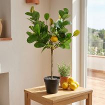 Product Artificial lemon tree in a pot, Mediterranean flair, easy-care artificial plant, decorative citrus tree, 57cm high