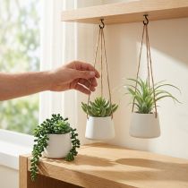 Product Hanging baskets succulents artificial green assorted 18cm 3pcs