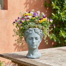 Product Plant head bust grey-blue Ø8cm H15cm