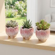 Product Mini planter ceramic pot flower assorted Ø8cm H7cm 3pcs