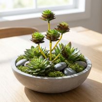 Product Succulent pick green / brown 35.5cm