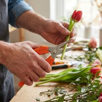 Product Flower scissors for precise flower cutting and floristry