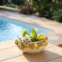 Product Ceramic bowl with lemons – Mediterranean decorative bowl for table &amp; kitchen Ø21.5cm H8.5cm