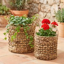Product Set of 2 plant baskets made of seagrass and water hyacinth Ø31/26cm - decorative basket, flower basket, storage, eco-friendly, natural
