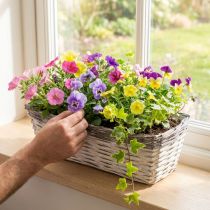 Product Woven Basket White, Brown Plant Basket 41×17×12.5cm