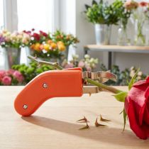 Product Rose Thorn Remover Stainless Steel Thornless 80ES Orange for Florists