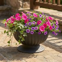 Product Bowl with foot anthracite, 1 pc