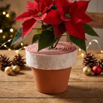 Product Two-tone pot hinge made of 100% wool as a decorative felt ribbon, white/red, 7.5cm wide, 5m long