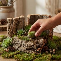 Product Natural Cork Bark 5-Piece Set for Crafts and Decorations, 30x20cm
