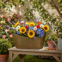 Product Set of plant pots and tubs, copper-colored/white, L32.5cm/36.5cm/41.5cm