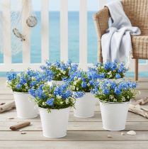 Product White tin buckets Ø14cm H12cm 6 pcs
