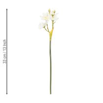 Product Daffodil branch for seasonal wedding arrangements, beautiful, 33cm, 6 pieces