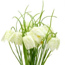 Product Checkered lilies Fritillaria artificial white, green 40cm 12 pcs