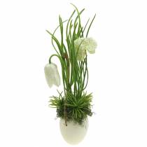 Fritilaria in the eggshell to hang artificially green, white 25cm
