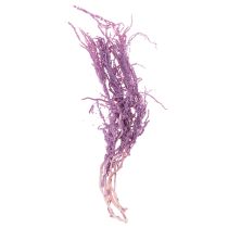 Product Amaranth Dried Flowers Dyed for modern home décor 100cm 5 pieces