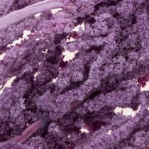 Product Amaranth Dried Flowers Dyed for modern home décor 100cm 5 pieces