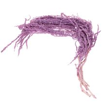 Product Amaranth Dried Flowers Dyed for modern home décor 100cm 5 pieces