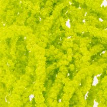 Product Amaranth Dried flowers Dyed light green for special home decor and unique accents 100cm 5 pieces