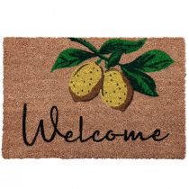 Product Doormat Lemon Welcome Doormat Coconut 40×60cm