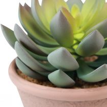 Product Succulent plant in pot Echeveria artificial green vintage Ø15cm H16cm