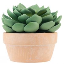 Product Succulent plant in pot Echeveria artificial green Ø15cm