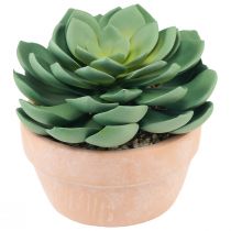 Product Succulent plant in pot Echeveria artificial green Ø15cm