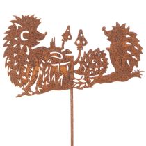 Product Garden stake hedgehog motif rust decoration for summer and autumn 53cm