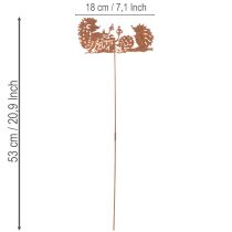 Product Garden stake hedgehog motif rust decoration for summer and autumn 53cm