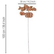 Product Garden stake with pumpkin motif, metal decoration, rust finish, 100cm