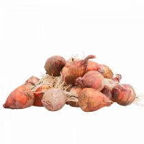 Vegetable deco mini turnips artificial Ø2.5cm H3.5cm 24p
