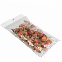 Product Vegetable decoration mini beets artificial Ø2.5cm H3.5cm 24 pcs