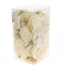 Product Dried Leaves Decoration Moneta Dry Floristry Cream 100g