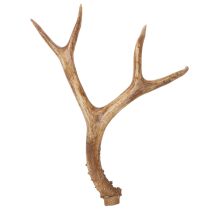 Product Artificial antlers, lifelike, rustic, 32cm
