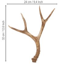 Product Artificial antlers, lifelike, rustic, 32cm