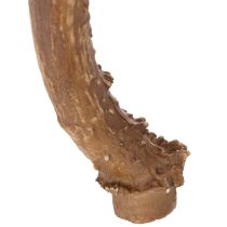Product Artificial antlers, lifelike, rustic, 32cm
