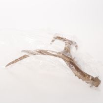 Product Artificial antlers, lifelike, rustic, 32cm