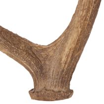 Product Decorative artificial antlers, rustic cabin decoration, 50cm