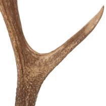 Product Decorative artificial antlers, rustic cabin decoration, 50cm
