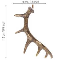 Product Rustic antler decoration pendants for wall or tree, 15cm, 6 pieces