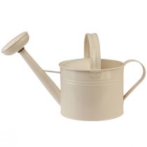 Product Vintage metal watering can, cream white, decorative and functional, planter for dried and artificial flowers, indoor watering can, 26cm H, 5 liters
