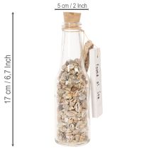 Product Glass bottle decoration with shells and pendant, maritime table decoration, 17cm, 2 pieces
