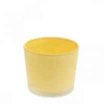 Glass flower pot yellow planter glass tub Ø10cm H8.5cm
