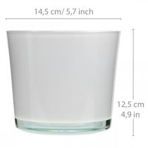 Product Glass flower pot white planter glass tub Ø14.5cm H12.5cm