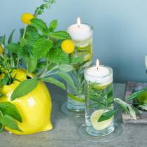 Product Glass vase with base, clear, Ø6cm, H25cm