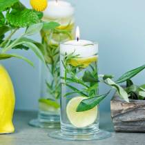 Product Glass vase with base, clear, Ø6cm, H20cm